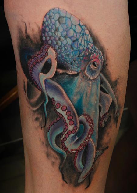 Steve Phipps - Mosaic Flow Octopus